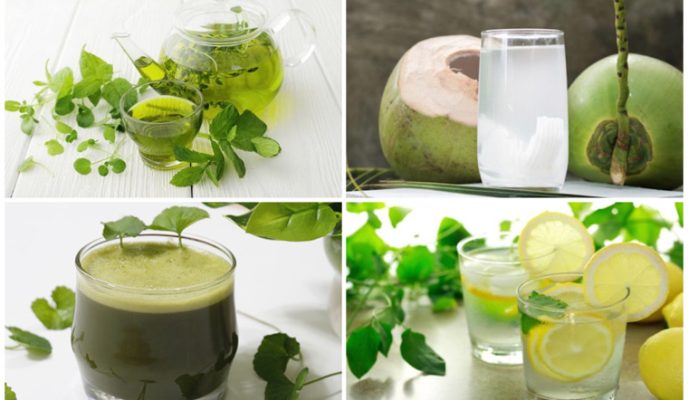 những loại nước lá uống giải nhiệt
