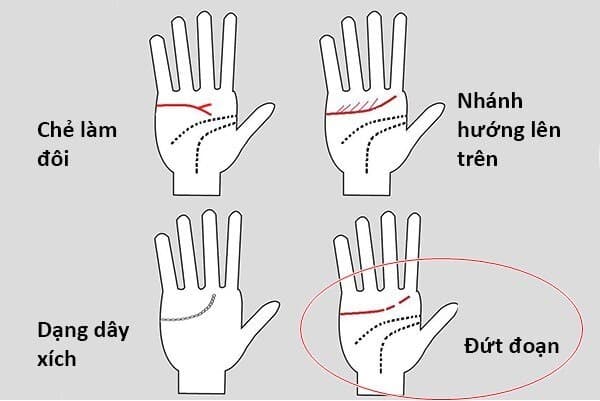 Xem bói là gì? Các hình thức xem bói hay nhất hiện nay