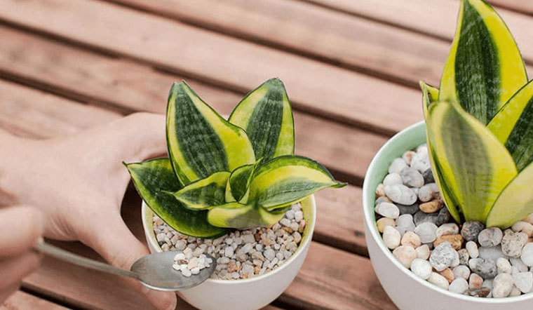 Người sinh năm 1991 mệnh gì? Người tuổi Tân Mùi hợp với tuổi nào, con số may mắn, hướng xây nhà hợp mệnh