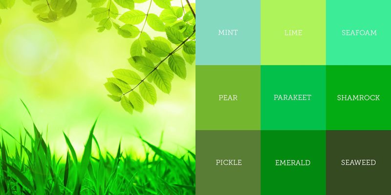 Người sinh năm 2003 mệnh gì? Xem tử vi tính cách, tình duyên, sự nghiệp của người tuổi Quý Mùi