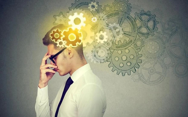 Người sinh năm 2006 mệnh gì? Người tuổi Quý Hợi hợp với tuổi nào, con số may mắn, hướng xây nhà hợp mệnh