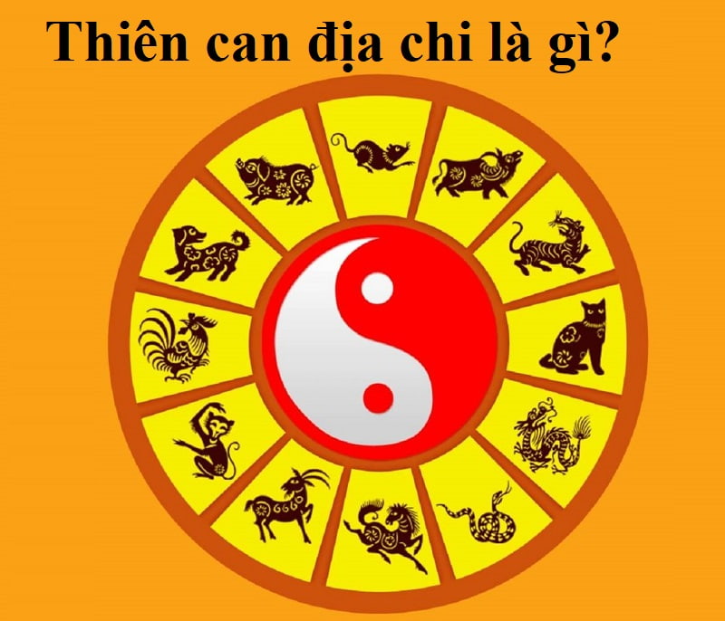 Thiên Can là gì? Ý nghĩa của 10 Thiên Can 3 Thiên Can là gì? Ý nghĩa của 10 Thiên Can