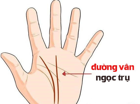 Xem chỉ tay nam về sự nghiệp, tình duyên, sức khỏe trong tương lai