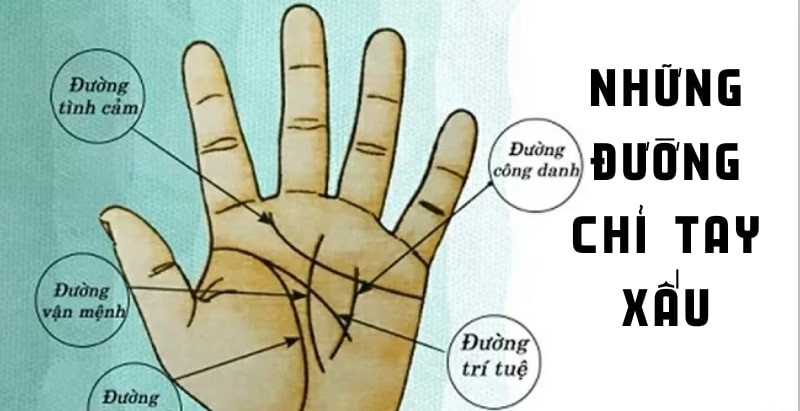 Xem chỉ tay nam về sự nghiệp, tình duyên, sức khỏe trong tương lai