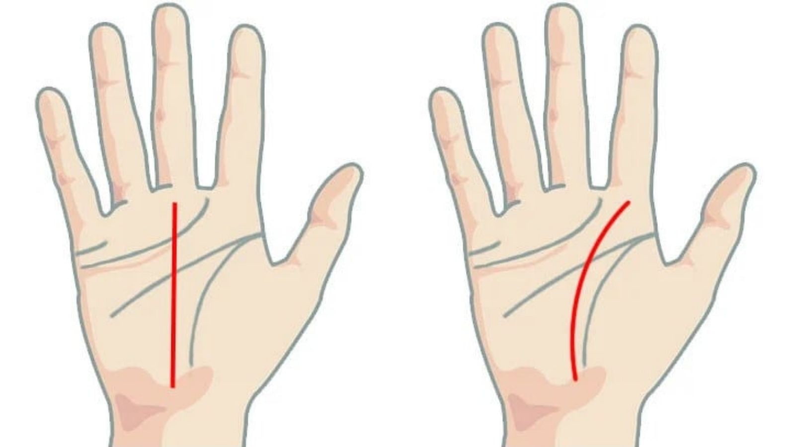 Xem chỉ tay nam về sự nghiệp, tình duyên, sức khỏe trong tương lai