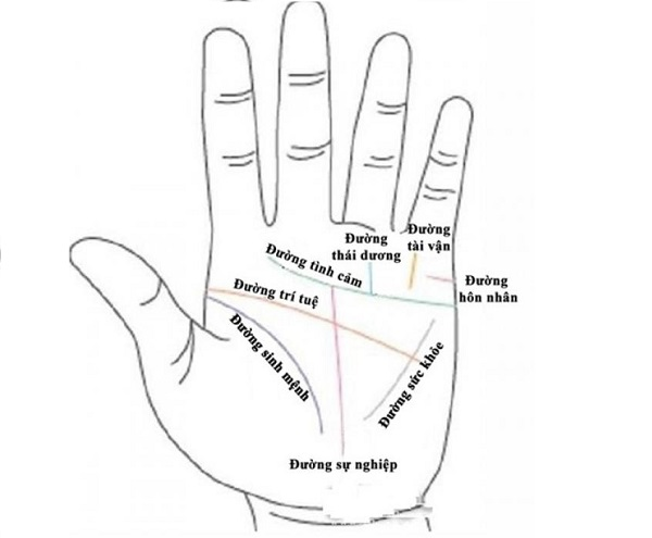 Xem chỉ tay nam về sự nghiệp, tình duyên, sức khỏe trong tương lai