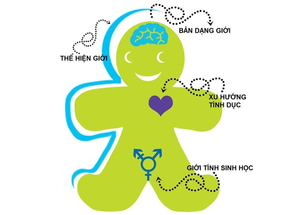 Bản dạng giới là gì? Phân biệt giới tính sinh học, bản dạng giới và xu hướng tính dục