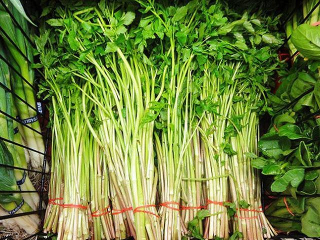 Rau cần là rau gì? Những công dụng tuyệt vời từ rau cần 3 công dụng rau cần