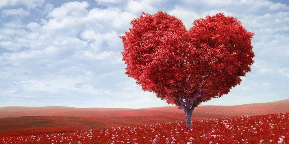 Ý nghĩa của màu sắc trong phong thủy? 12 màu tượng trưng cho điều gì?