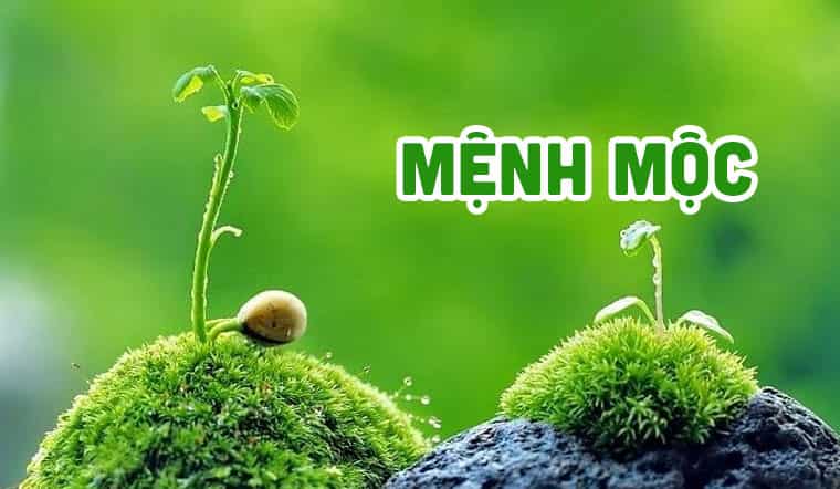 Sinh năm 1989 mệnh gì? Kỷ Tỵ 1989 hợp với màu gì, hướng nào?