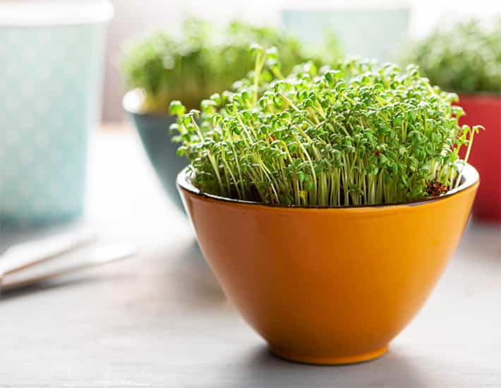 Sinh năm 1989 mệnh gì? Kỷ Tỵ 1989 hợp với màu gì, hướng nào?