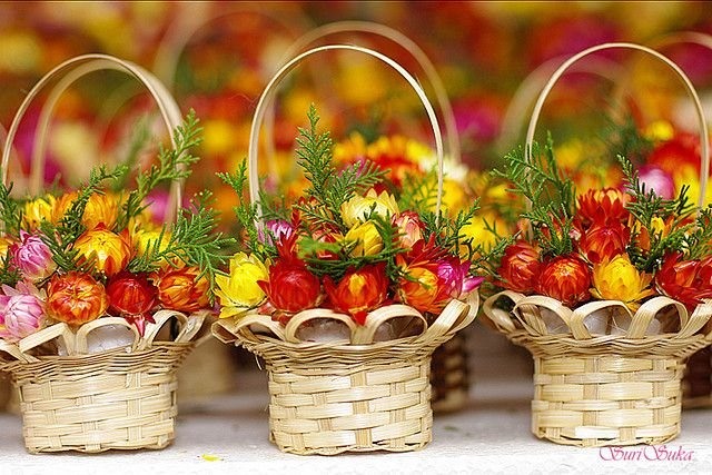 tặng hoa Bất Tử vào dịp nào