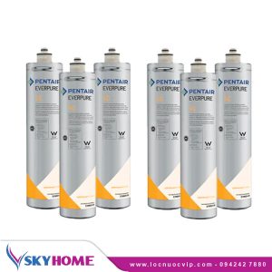 Máy Lọc Nước Pentair Everpure 4C + Cốc Lọc Thô A10