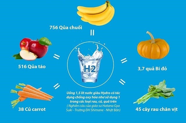 Nghien cuu cua Giao su Hatana Gya Suki tai truong Dai hoc Shimane Nhat Ban