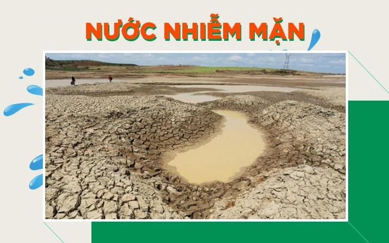 Phương pháp xử lý nước nhiễm mặn thành nước ngọt hiệu quả